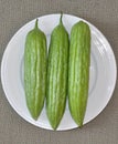 Three bitter melon Royalty Free Stock Photo