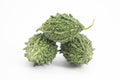 three Bitter melon on white studio background Royalty Free Stock Photo