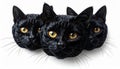 Three Black Cats with Yellow Eyes on White Background Digital Art Royalty Free Stock Photo