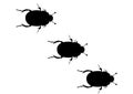 Three cockroaches beetle silhouette Royalty Free Stock Photo