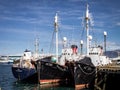 Three black fish cutters in Reykjavik harbour, Iceland.