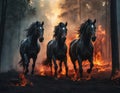 Three black horses running from fire Royalty Free Stock Photo