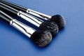 Three black makeup brushes with silver handles on blue background Royalty Free Stock Photo