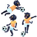 Three black panther girls as the footballers in uniform in dynamic poses with the soccer ball Royalty Free Stock Photo