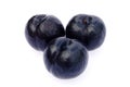 Three black plums Royalty Free Stock Photo