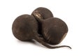 Three black radish isolated on white background Royalty Free Stock Photo