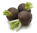 Three black radish isolated on white