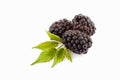 Three blackberries, leaves