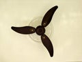 Three bladed ceiling fan with leaf shaped wings