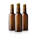 Three blank brown realistic beer bottles isolated Royalty Free Stock Photo