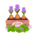 Three blooming hyacinths in wooden box with green decor. Spring flowers. Natural composition. Flat vector design