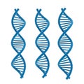 Three blue dna double helix strands exhibit genetic code structures science art transparent background Royalty Free Stock Photo