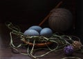 Three blue Easter eggs on a ceramic saucer on a dark background Royalty Free Stock Photo