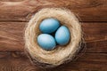 Three blue Easter eggs painted by hibiscus, in a nest with feathers on a wooden background. Easter symbol. Copy space Royalty Free Stock Photo