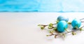 Three blue Easter eggs, and spring twigs with green leaves on a white table, Royalty Free Stock Photo
