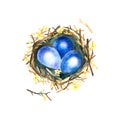 Three blue eggs in nest. Easter illustration isolated on white background. Royalty Free Stock Photo