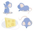 Three Blue Mice