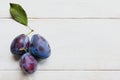 Three blue plums with one green leaf on white wooden background Royalty Free Stock Photo