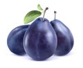 Three blue plums on white background Royalty Free Stock Photo