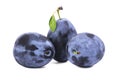 three blue ripe plums Royalty Free Stock Photo