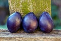 Three blue ripe plums on a wooden board