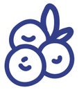 Three blueberries, icon icon