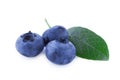 Three blueberries isolated on white