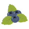 Three blueberries with leaves in bright trendy shades. Sticker. Icon. Isolate. Design for cards. EPS