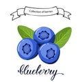 Blueberries with leaves icon
