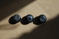 Three blueberries on a sunbeam.