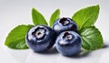 Three blueberries on a white plate with a green leaf
