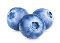 Three blueberry berries on white background Royalty Free Stock Photo