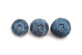 Three blueberry isolated on white