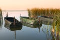 Three boats on the lake Royalty Free Stock Photo