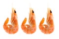 Three boiled Shrimps isolated