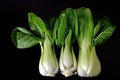 Three bok chow isolated on black background