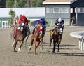 Three Bold Blazes in the Gallant Bob Stakes