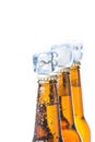 Three bottle of fresh beer with ice and drops Royalty Free Stock Photo