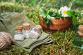 Three bottle of homeopathic globules, infusion bottle, wooden mortar of medicinal herbs, gloves on a moss in forest