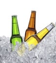 Three bottles of beer on ice cubes. Isolated on white background Royalty Free Stock Photo