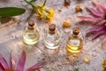 Three bottles of essential oil with frankincense resin, goldenrod and echinacea flowers Royalty Free Stock Photo