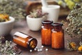 Three bottles of homeopathic globules and medicinal herbs. Homeopathy medicine concept Royalty Free Stock Photo