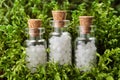 Three bottles of homeopathy globules on green moss. Bottles of homeopathic granules. Homeopathy medicine Royalty Free Stock Photo