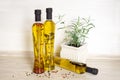 Three bottles of olive oil with spices Royalty Free Stock Photo