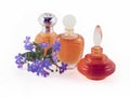 Three bottles of perfume Royalty Free Stock Photo