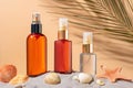 Three bottles perfume are displayed on a beach with shells Royalty Free Stock Photo
