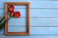 Red tulips with frame on blue wooden background