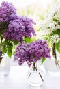 Three bouquets of lilac in round transparent vases near window Royalty Free Stock Photo