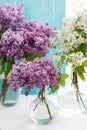 Three bouquets of lilac in round transparent vases near window Royalty Free Stock Photo