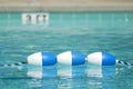 Three Bouys In A Clear Blue Swimming Pool